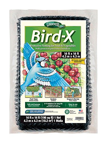 BIRD-X NETTING 14X14FT