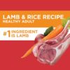 IAMS PH LAMB/RICE DOG 38.5 - Image 6