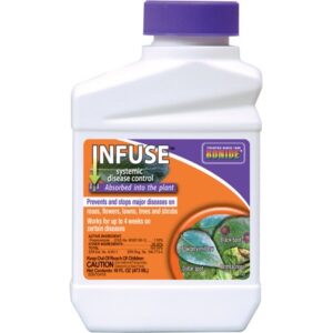 INFUSE SYSTEMIC FUNGICIDE PT