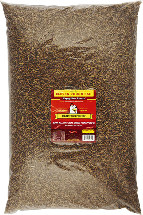 TRADEKING MEALWORMS 11LB