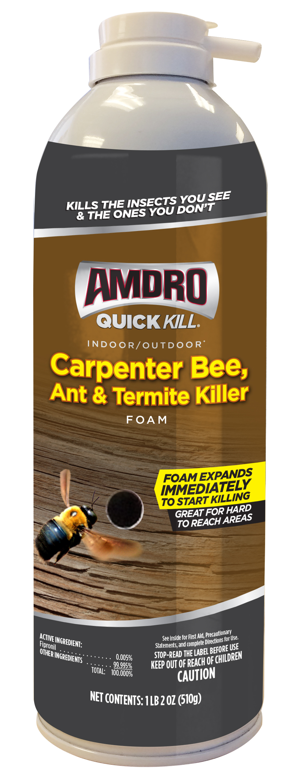 CARPENTER BEE, ANT, TERM 18