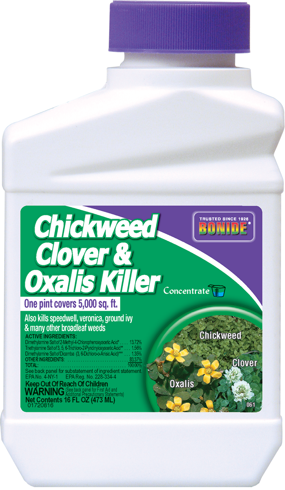 CHICKWEED CLOVER & OXAL PINT