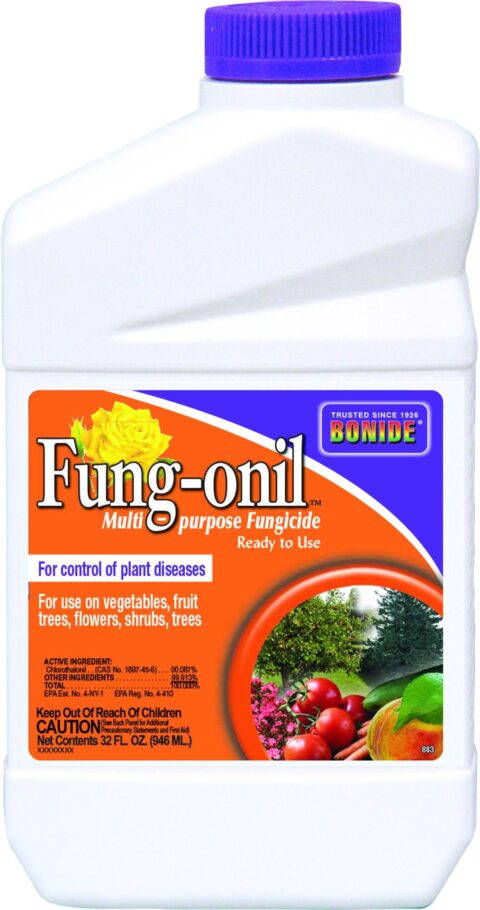 FUNG-ONIL SPRAY CONC 32 OZ