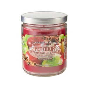 N&D BOAR/PMPKN/APL CAT 2.8OZ