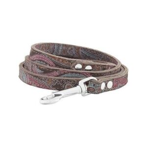 PAISLEY LTHR LEAD CH 1/2"X4'