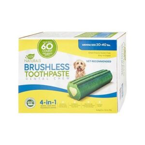 ARK TPASTE CHEW MD 60CT