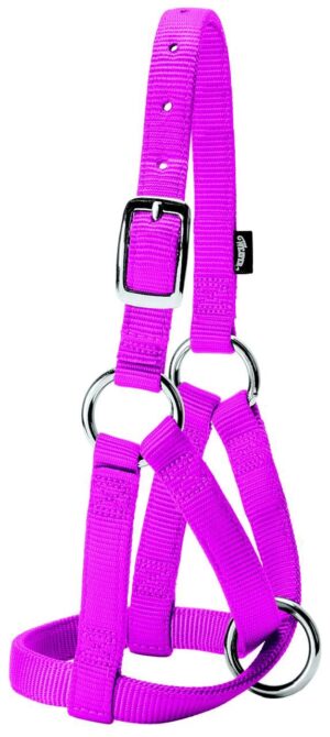 NYLON GOAT HALTER SM ASST.