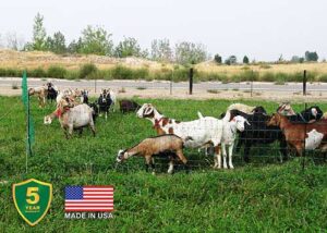 ELECTRIC POULTRY NET 40INX165FT