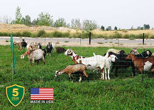 ELECTRIC POULTRY NET 40INX165FT