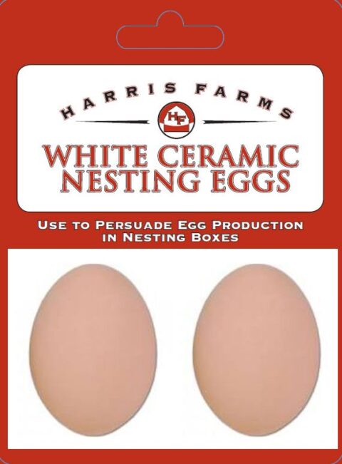 HARRIS FARMS CERAMIC WHITE EGGS