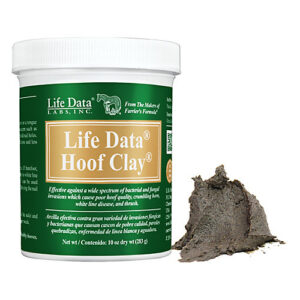 LIFE DATA HOOF CLAY 8OZ 6