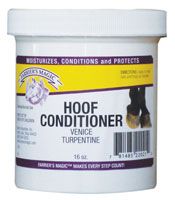 HOOF CONDTNR VENICE TURP 16