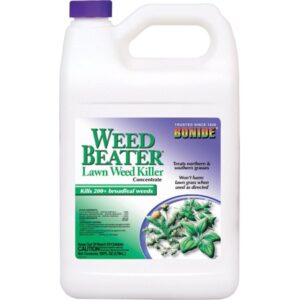 WEED BEATER CONC 1GAL