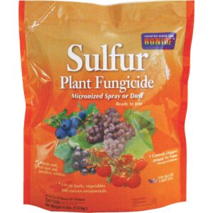 SULFUR FUNGICIDE DUST 4 LB
