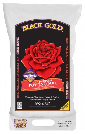 BLK GOLD NAT/ORG POT MX 16QT