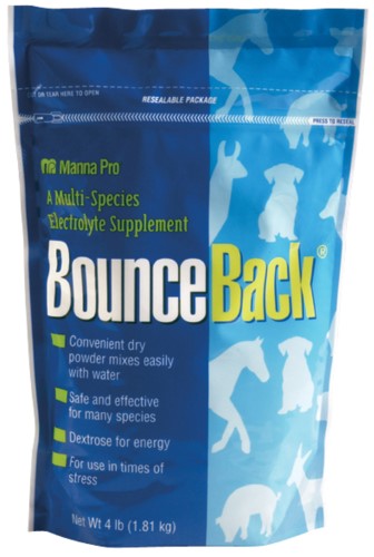 BOUNCE BACK ELECTROLYTE 4LB