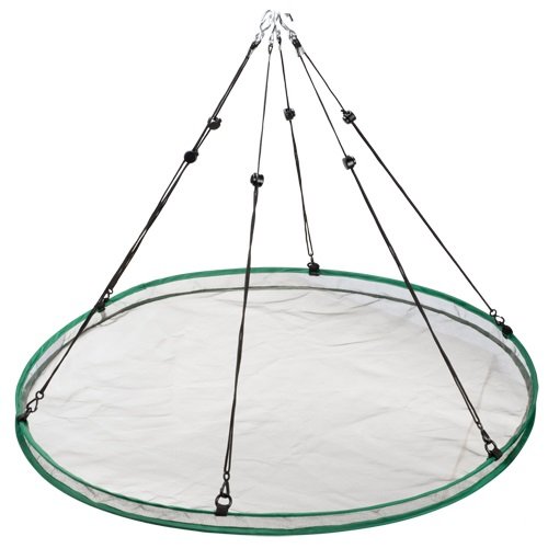 SEED HOOP 24" - Image 2