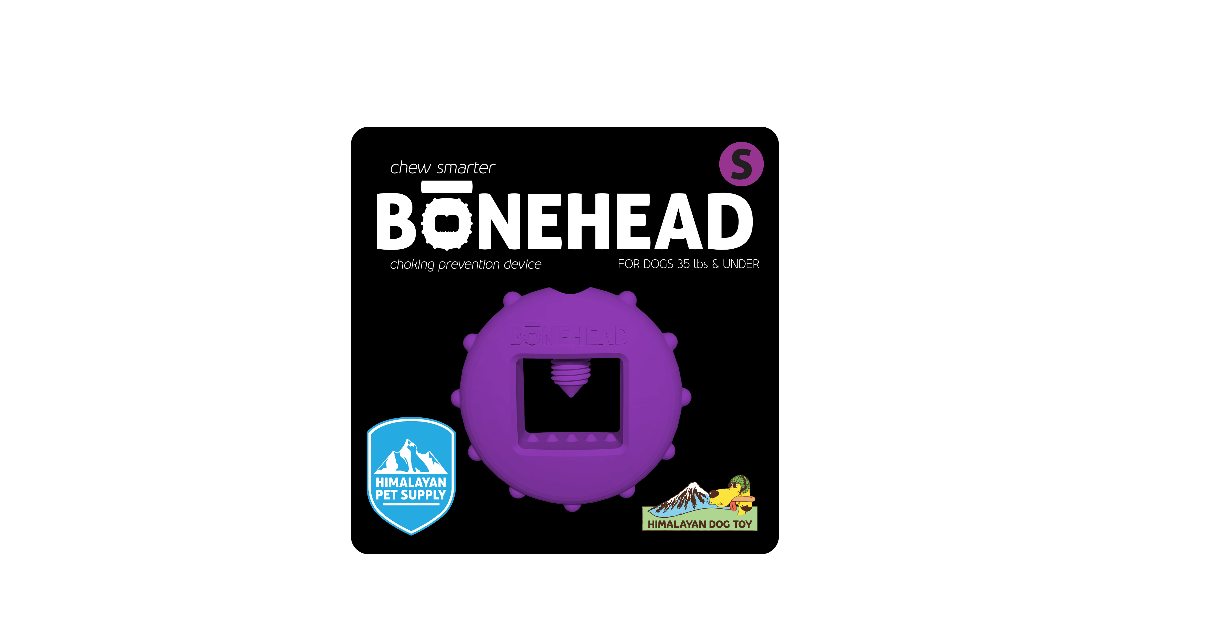 HIMALAYAN BONEHEAD SMALL