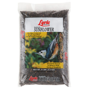 FF BLACK OIL SUNFLOWER 5 LB
