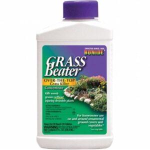 GRASS BEATER W/POST PLS 8OZ
