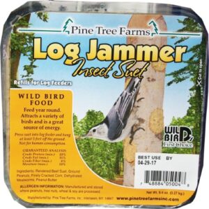 PINE TREE LOG JAMMER INSECT
