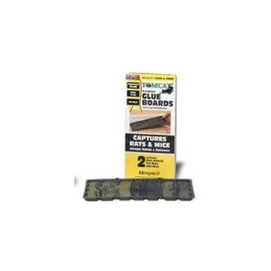 GLUE BOARD RAT 2-PK TOMCAT