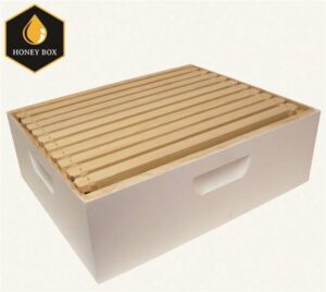 BEEHIVE MEDIUM BOX W/ 10 FRAM