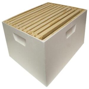 BEEHIVE DEEP BOX W/ 10 FRAMES