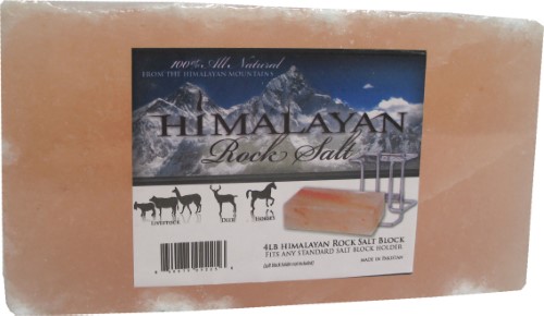 HIMALAYAN SALT BRICK 4 LB