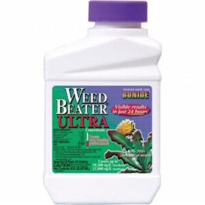 WEEDBEATER ULTRA CONC PT