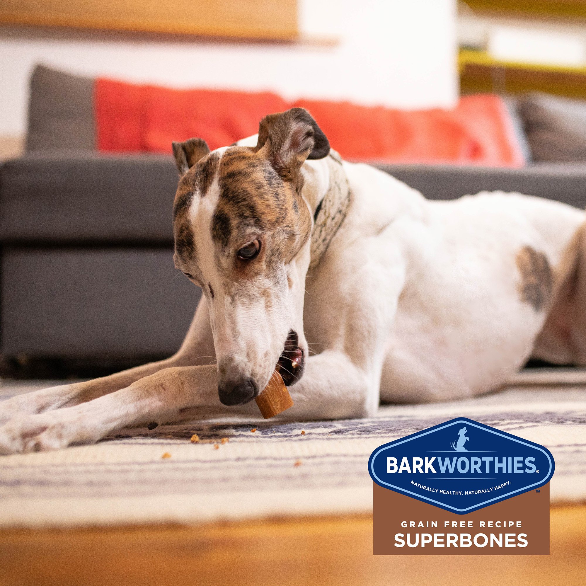 BARKW SUPERBONES CKN/SWP 3PK - Image 6