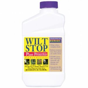 WILT STOP QT CONCENTRATE