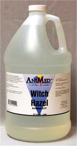 WITCH HAZEL GALLON 4