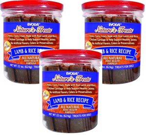 EVOLVE LAMB/RICE JERKY 22 OZ