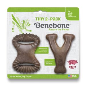 BENEBONE TINY 2-PACK BACON