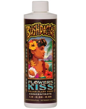 BUSH DOCTOR FLOWERS KISS 1PT