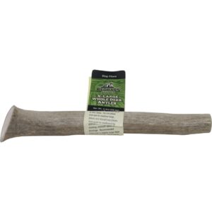 REDBARN DEER WHOLE ANTLER XL