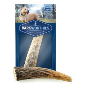 BARKW WHL ELK ANTLER CHEW MD
