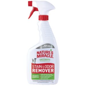 NM STAIN/ODOR REMOVER 24OZ