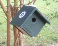 POST MOUNT BLUE BIRD FEEDER