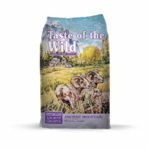 TOW DOG ANCIENT MOUNTAIN 28#