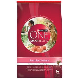 PURINA ONE DOG SSS 31.1#