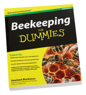 BOOK BEEKEEPING FOR DUMMIES