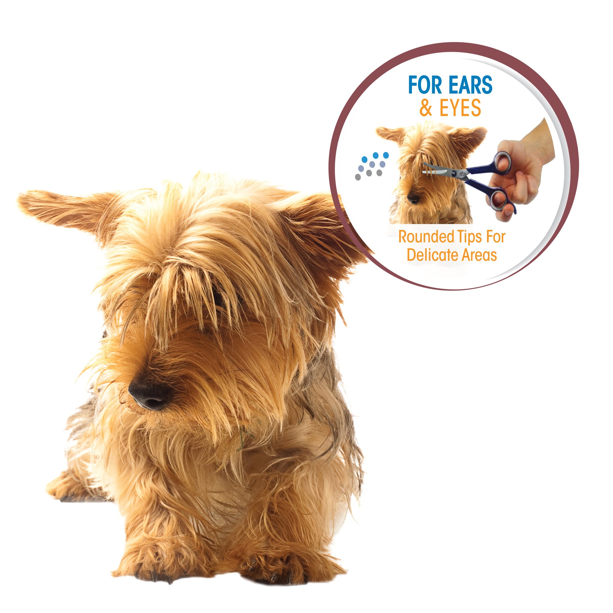 MAGIC COAT PROF EYE EAR SCISSORS - Image 3