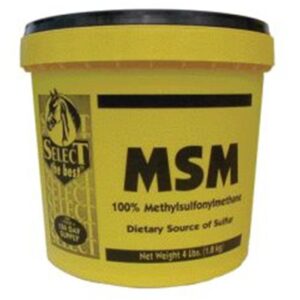 MSM RICHDEL 4 LB