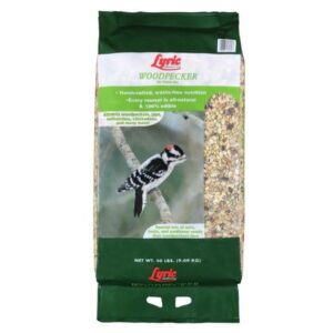 LYRIC WOODPECKER FEED 20LB