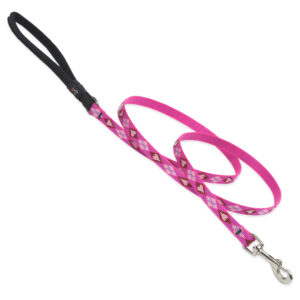 1/2in Puppy Love 6ft Leash