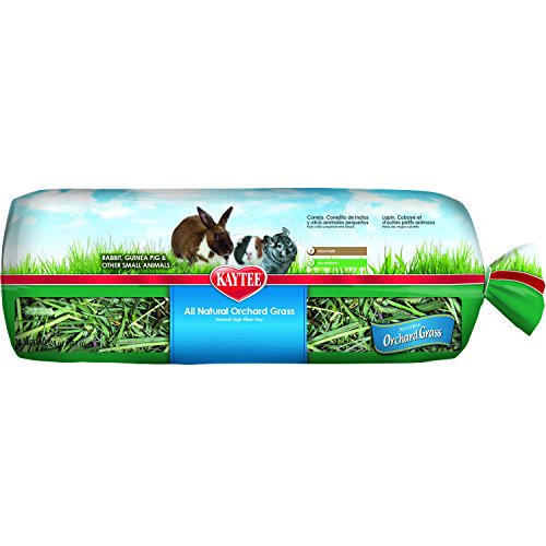 KAYTEE ORCHARD GRASS 24OZ - Image 4