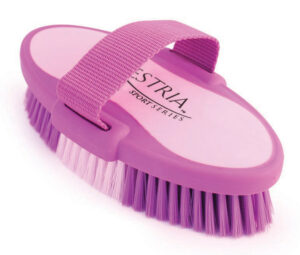 OVAL BRUSH PURPLE