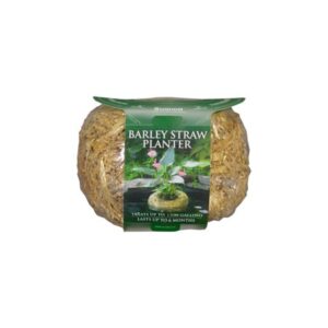 BARLEY STRAW PLANTER NTRL MD